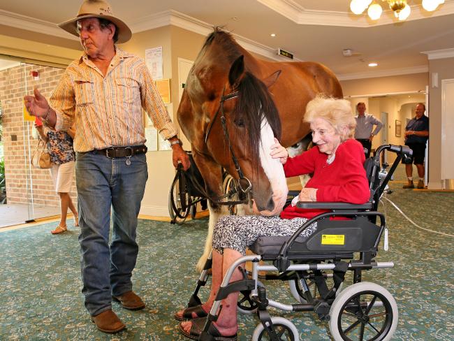 Horses Visiting a Retirement Home is Love