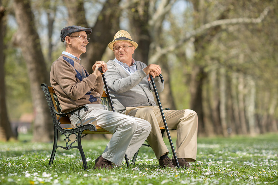 The Importance of Social Interactions for Senior Health